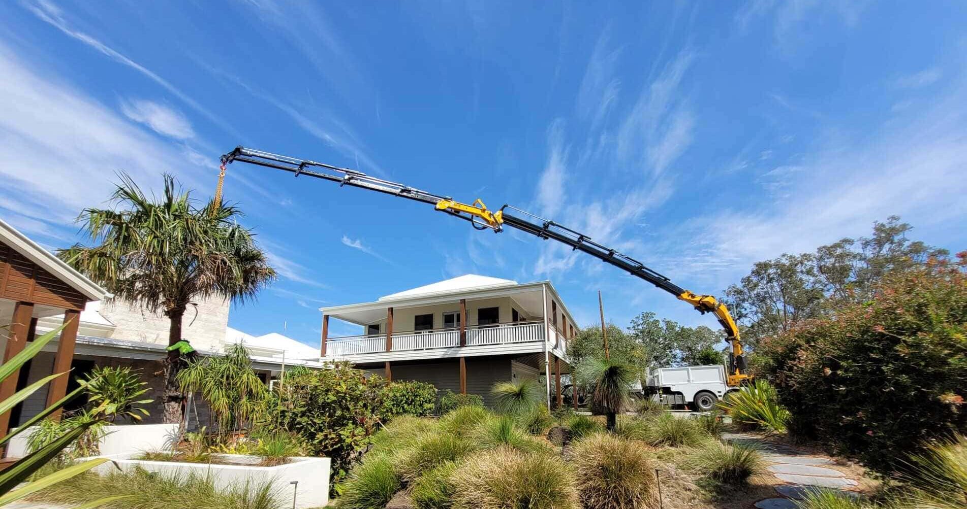 North Brisbane Trees project