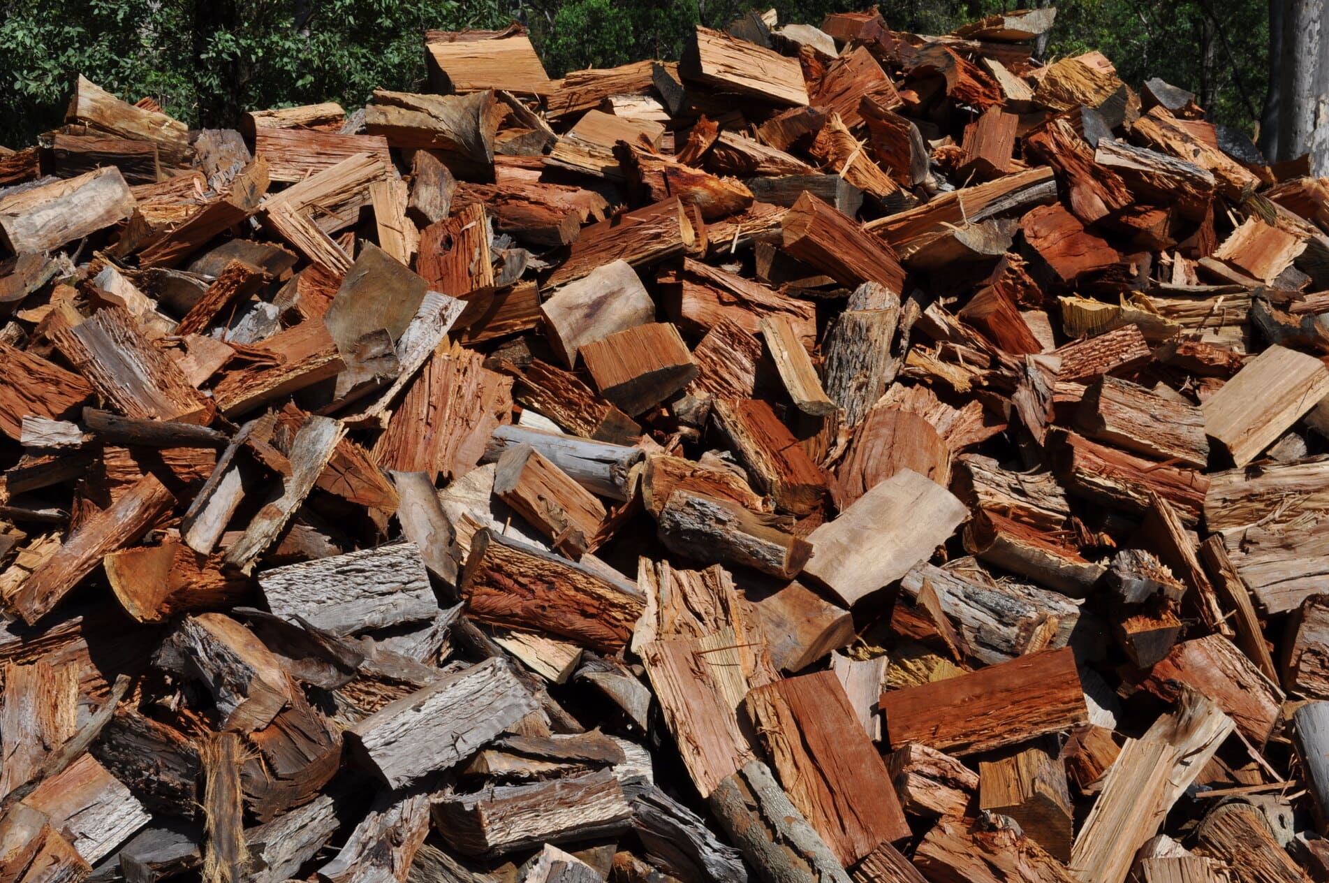 Tree maintenance work