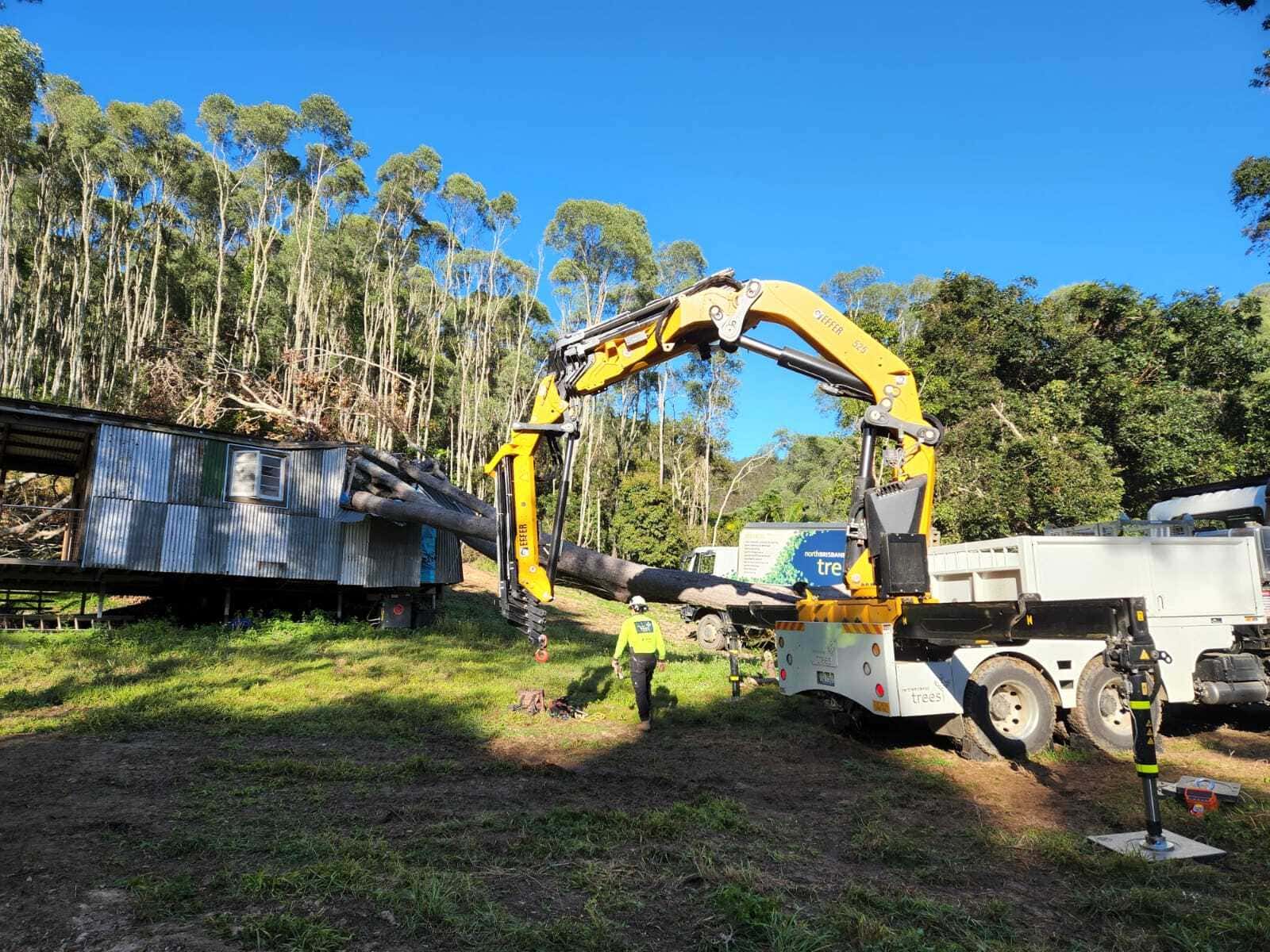 North Brisbane Trees project