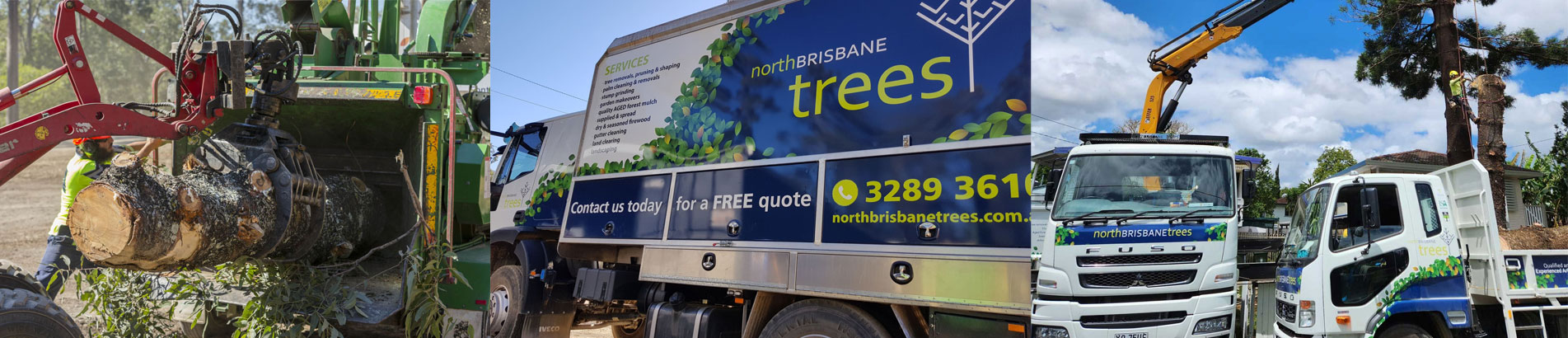 North Brisbane Trees at work