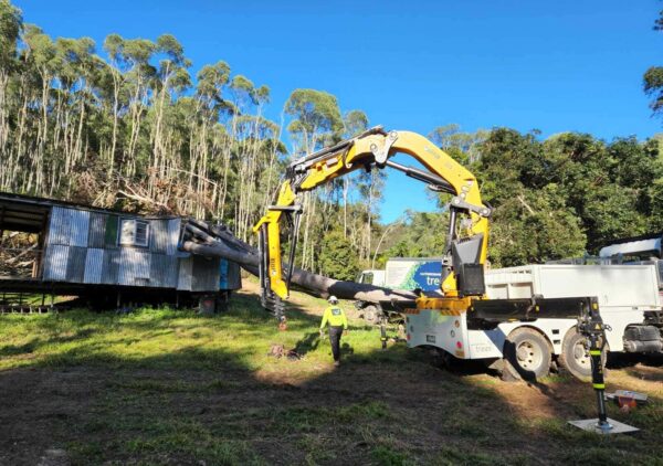 Crane removing large tree