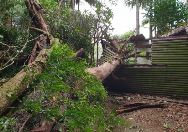 Emergency Storm Response