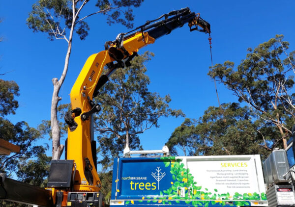 Crane & Heavy Equipment