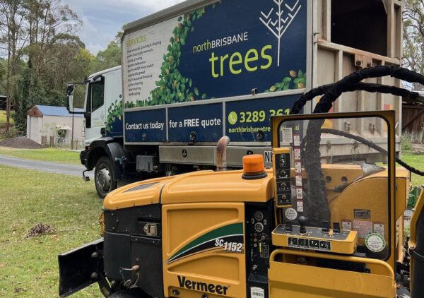 Tree removal project