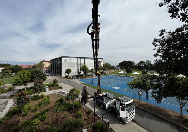 Commercial tree removal with crane
